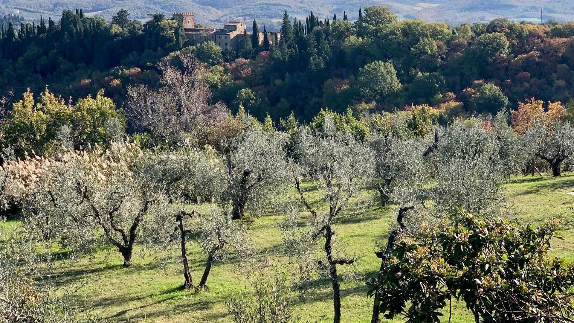 بيت للعطل فيلا Poggiosole Tavarnelle Val di Pesa